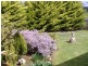 50 Mitchell Street, Casterton VIC 3311