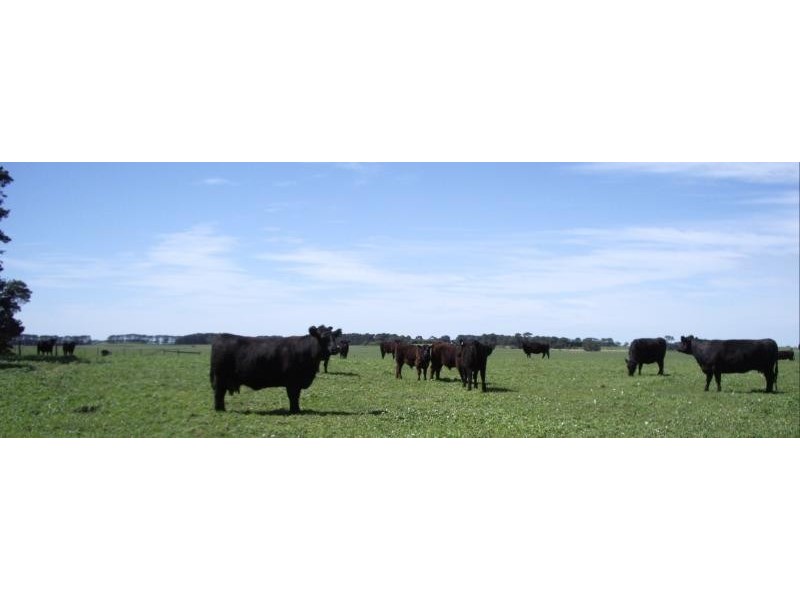 603 Woolsthorpe – Hexham Road, Woolsthorpe VIC 3276