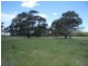 Heywood VIC 3304