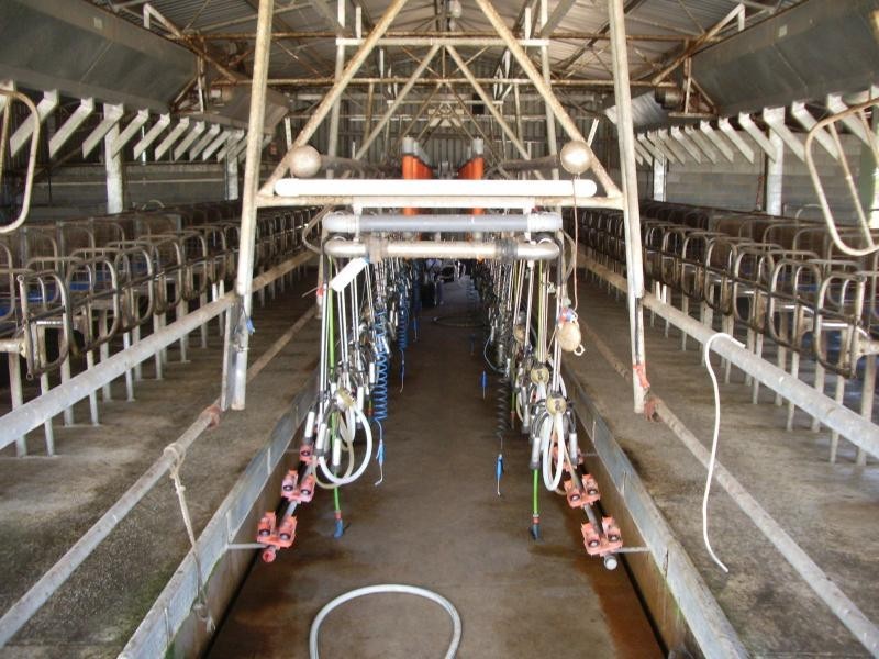 113 Suttons and Bryants Road, Gorae West VIC 3305