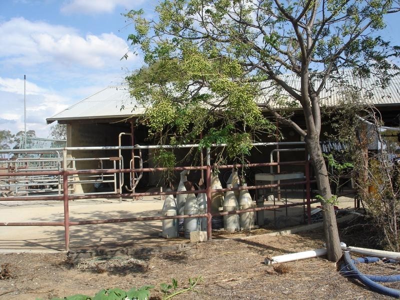 530 Brewer Road, Kyabram VIC 3620