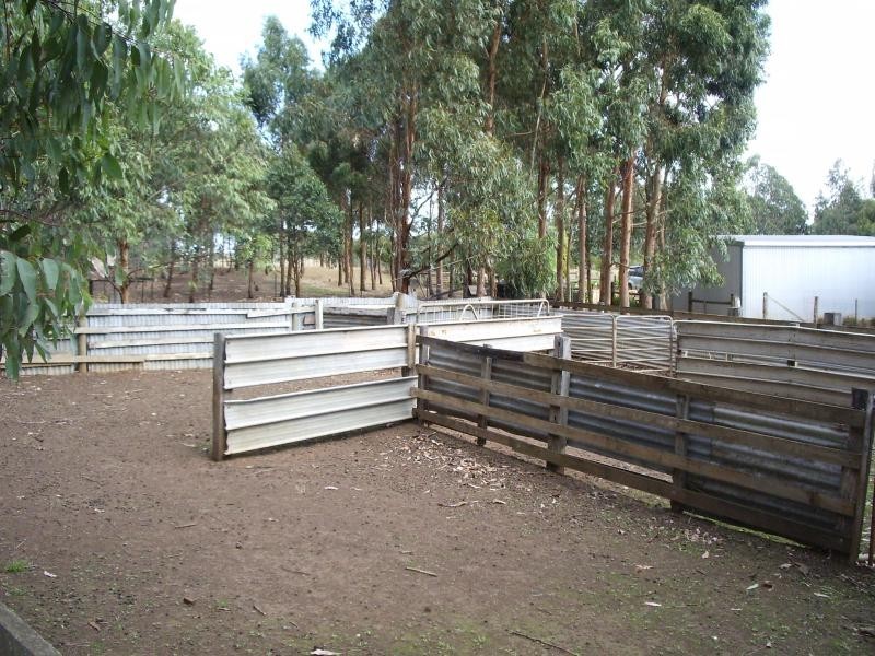 209 Cooramook Road, Grassmere VIC 3281