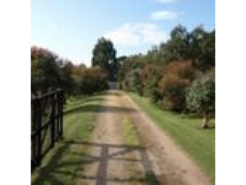 209 Cooramook Road, Grassmere VIC 3281