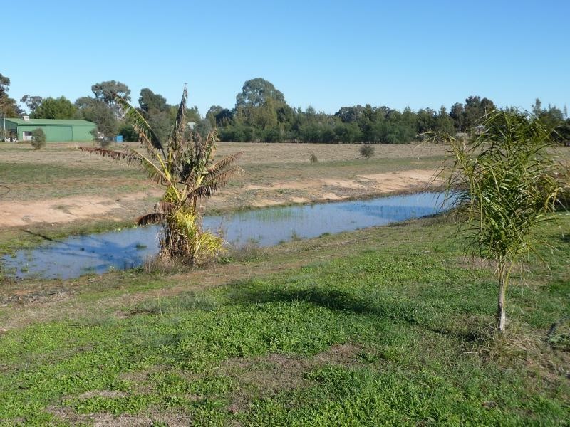 49 Honniball Drive, Tocumwal NSW 2714