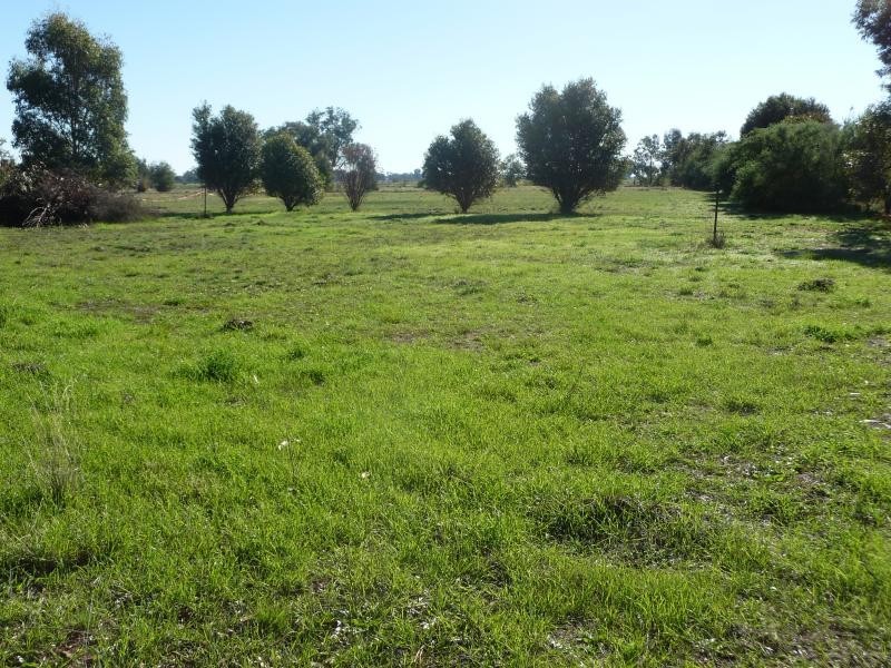 49 Honniball Drive, Tocumwal NSW 2714