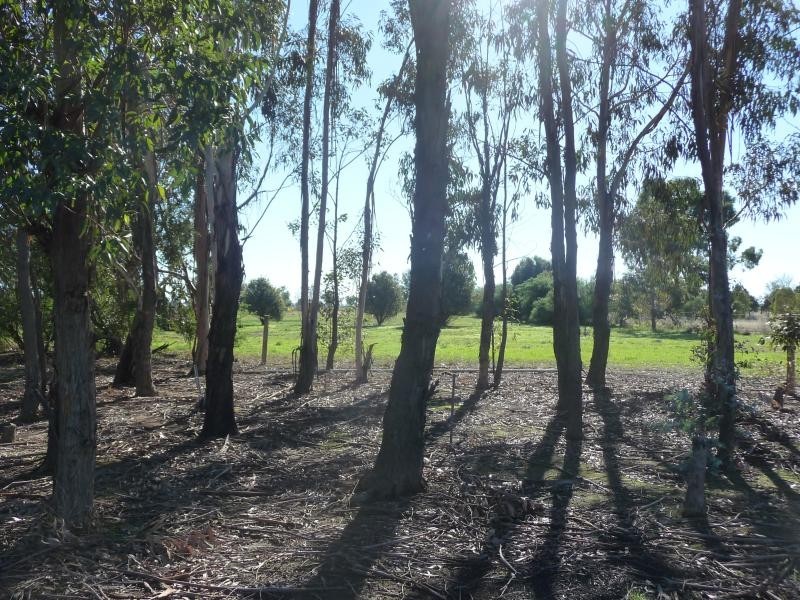 49 Honniball Drive, Tocumwal NSW 2714