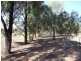 Lot 3/ Greggery’s Rd, Berrigan NSW 2712