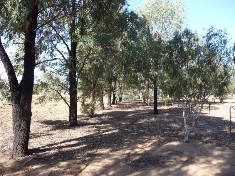 Lot 3/ Greggery’s Rd, Berrigan NSW 2712