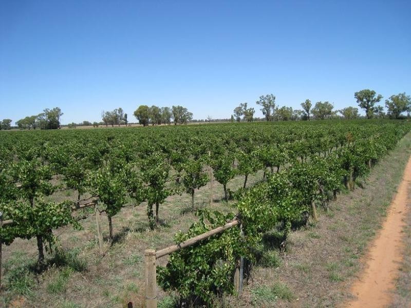Berrigan NSW 2712