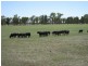 Berrigan NSW 2712