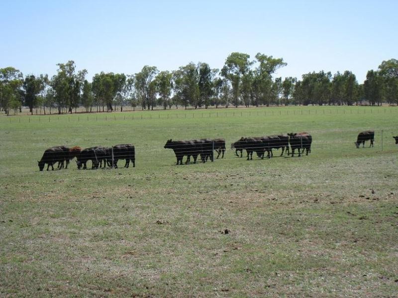 Berrigan NSW 2712
