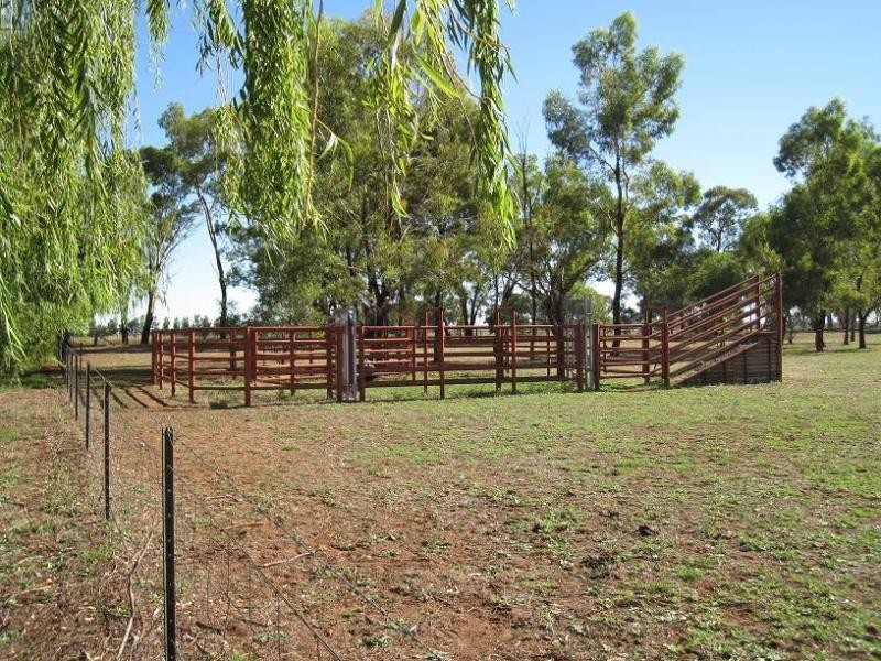 Berrigan NSW 2712