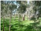 Lot 213/ Bushlands Rd, Tocumwal NSW 2714
