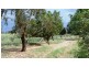 Berrigan NSW 2712