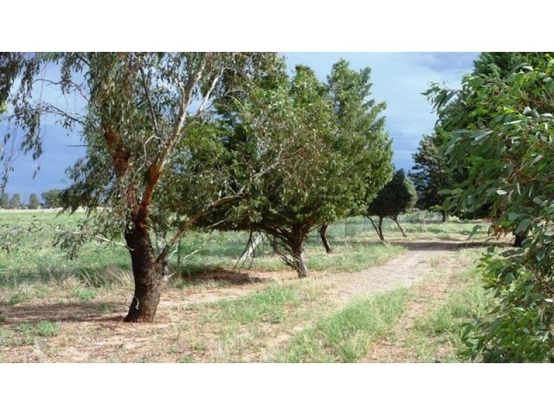 Berrigan NSW 2712