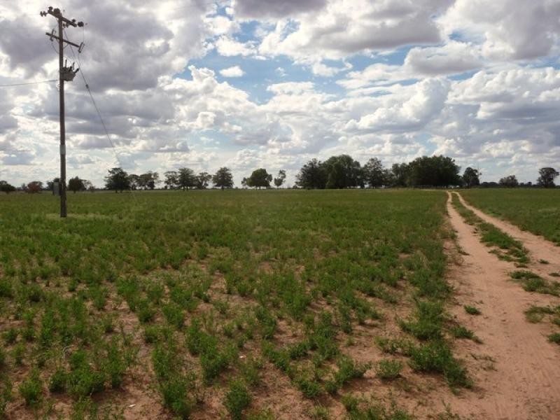 Berrigan NSW 2712