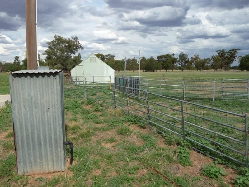 Berrigan NSW 2712