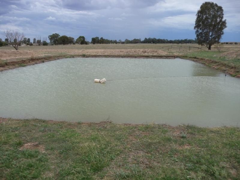 Berrigan NSW 2712