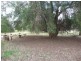 Berrigan NSW 2712