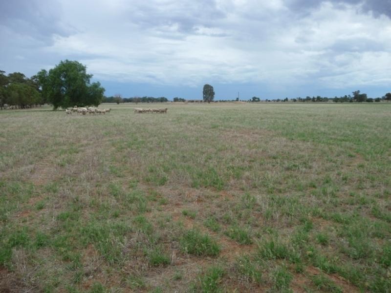 Berrigan NSW 2712
