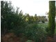 21 Corcoran St, Berrigan NSW 2712