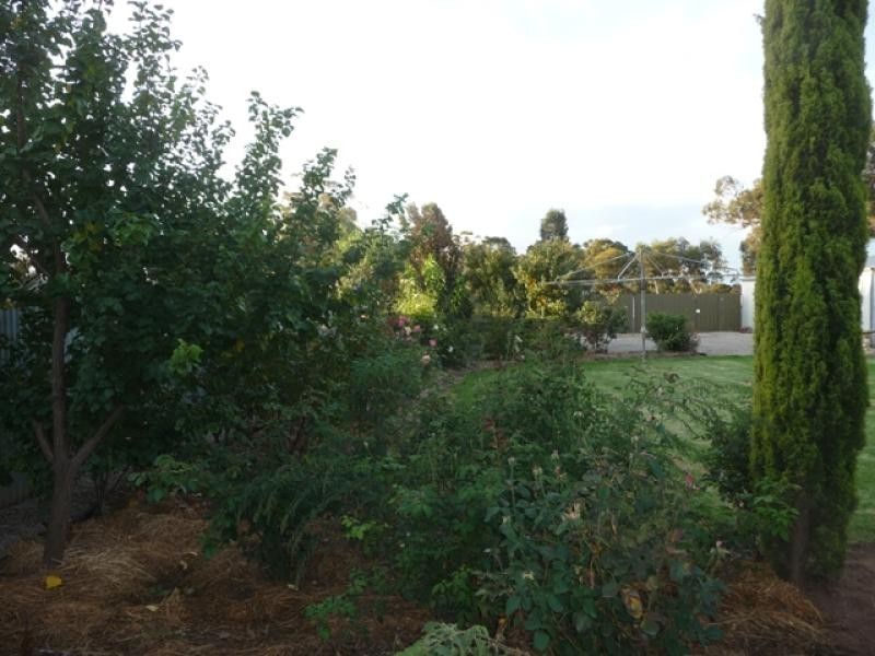 21 Corcoran St, Berrigan NSW 2712