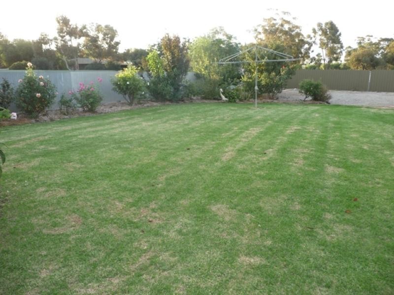 21 Corcoran St, Berrigan NSW 2712