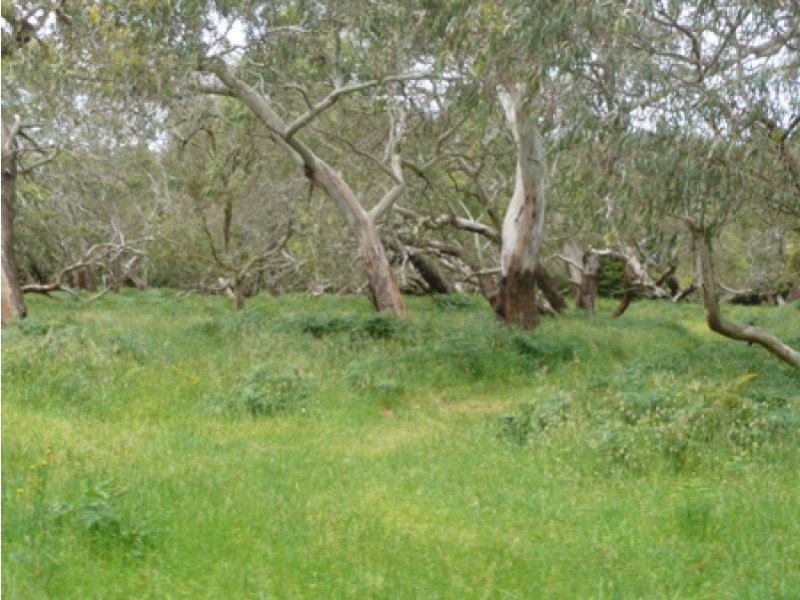 13 Nagorcka’s Road, Portland West VIC 3305