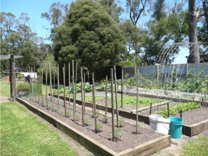 1216 Gorae Road, Gorae West VIC 3305