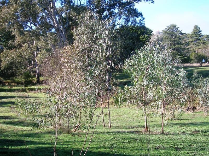 9 Gobur- Kanumbra Road, Kanumbra VIC 3719