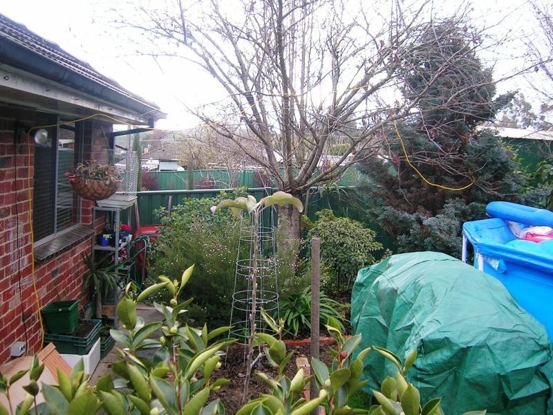 51 Webster St, Alexandra VIC 3714