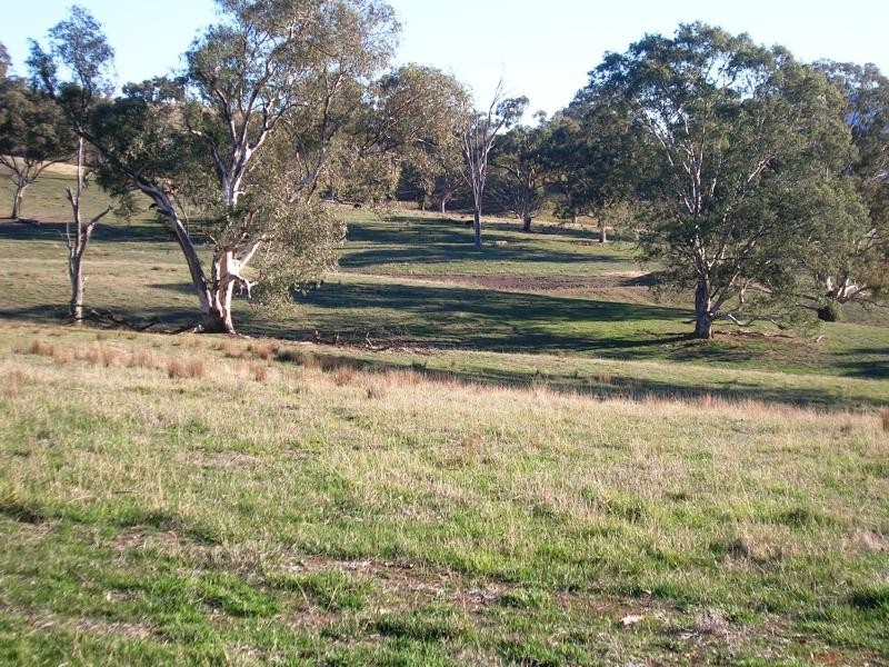 235 Wrights Road, Yarck VIC 3719