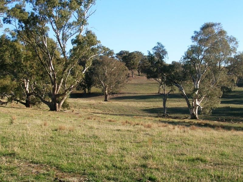 235 Wrights Road, Yarck VIC 3719