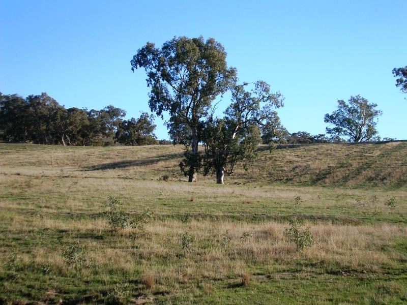 235 Wrights Road, Yarck VIC 3719