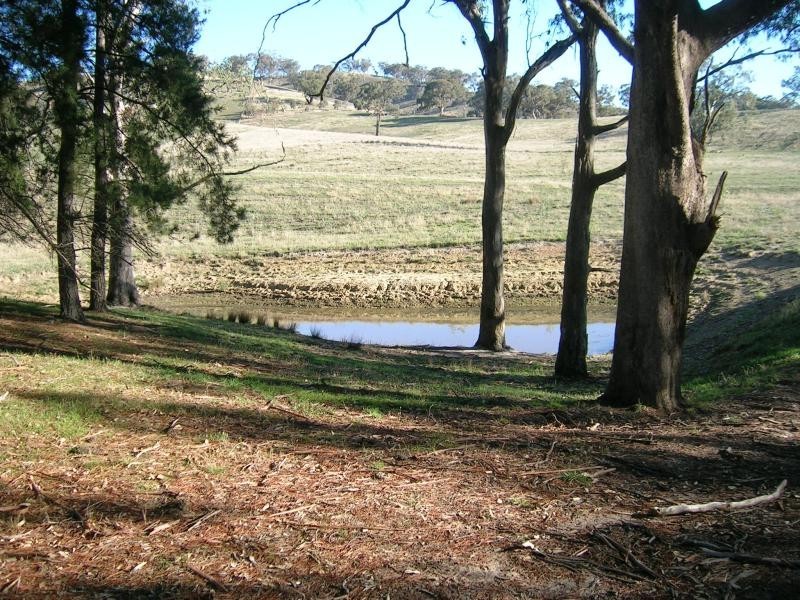 235 Wrights Road, Yarck VIC 3719