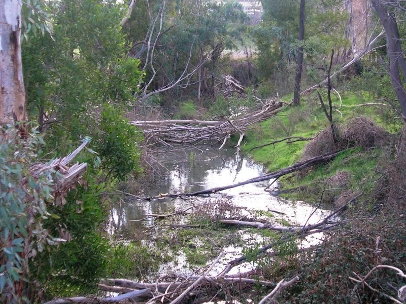 17 Endicott Rd, Alexandra VIC 3714