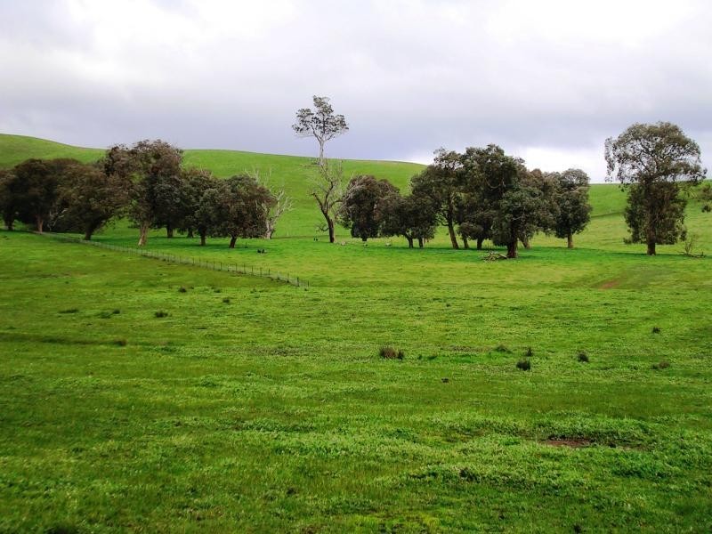 270 Maroondah Link Hwy, Alexandra VIC 3714