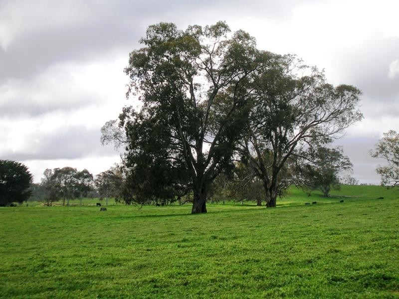 270 Maroondah Link Hwy, Alexandra VIC 3714