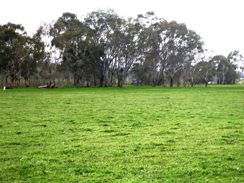 270 Maroondah Link Hwy, Alexandra VIC 3714