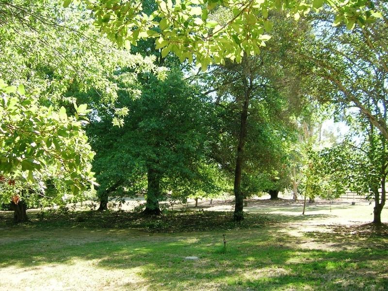 270 Maroondah Link Hwy, Alexandra VIC 3714