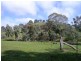 450 U.T Creek Rd, Alexandra VIC 3714