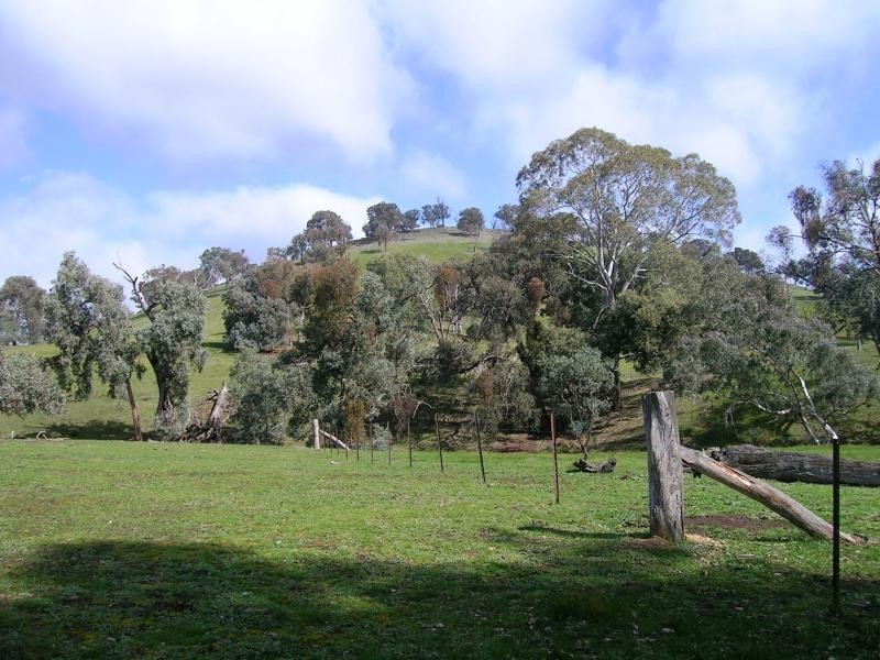 450 U.T Creek Rd, Alexandra VIC 3714