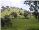 450 U.T Creek Rd, Alexandra VIC 3714