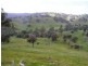 450 U.T Creek Rd, Alexandra VIC 3714