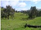 450 U.T Creek Rd, Alexandra VIC 3714