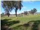 450 U.T Creek Rd, Alexandra VIC 3714