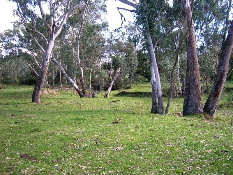 450 U.T Creek Rd, Alexandra VIC 3714