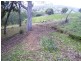 450 U.T Creek Rd, Alexandra VIC 3714