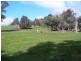 450 U.T Creek Rd, Alexandra VIC 3714