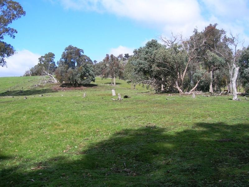 450 U.T Creek Rd, Alexandra VIC 3714